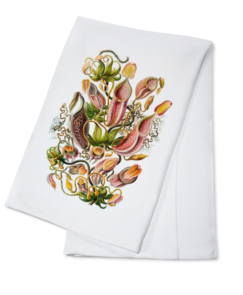 Art Forms of Nature, Nepenthaceae (Plant), Ernst Haeckel Artwork, Towels and Aprons Kitchen Lantern Press Cotton Towel 
