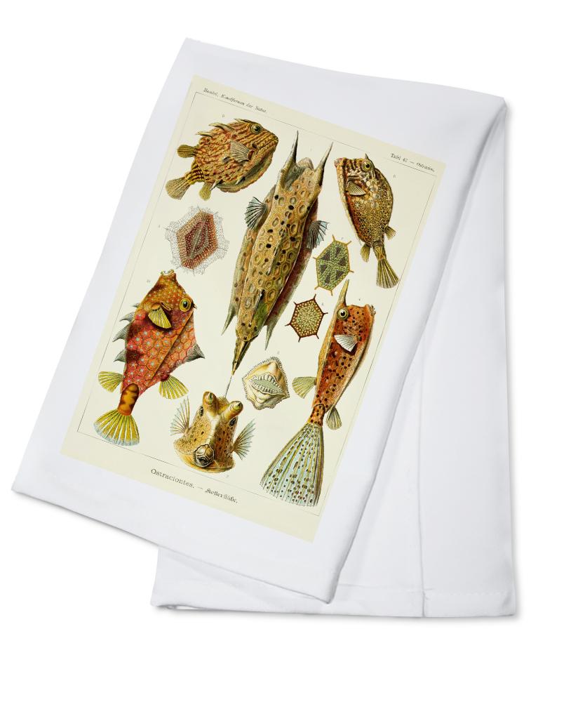 Art Forms of Nature, Ostraciontes (Boxfish), Ernst Haeckel Artwork, Towels and Aprons Kitchen Lantern Press 