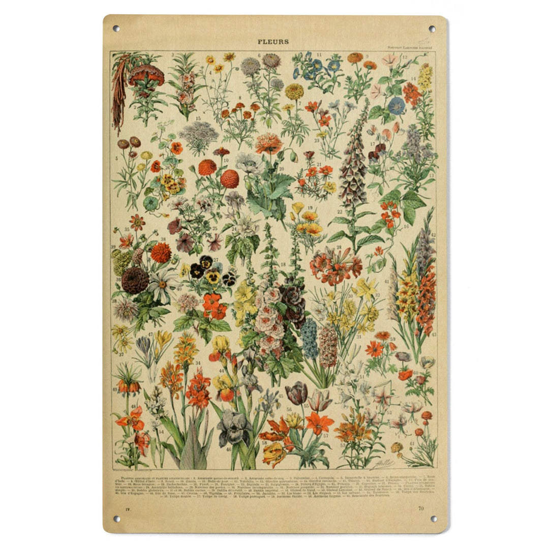 Assorted Flowers, A, Vintage Bookplate, Adolphe Millot Artwork, Wood Signs and Postcards Wood Lantern Press 