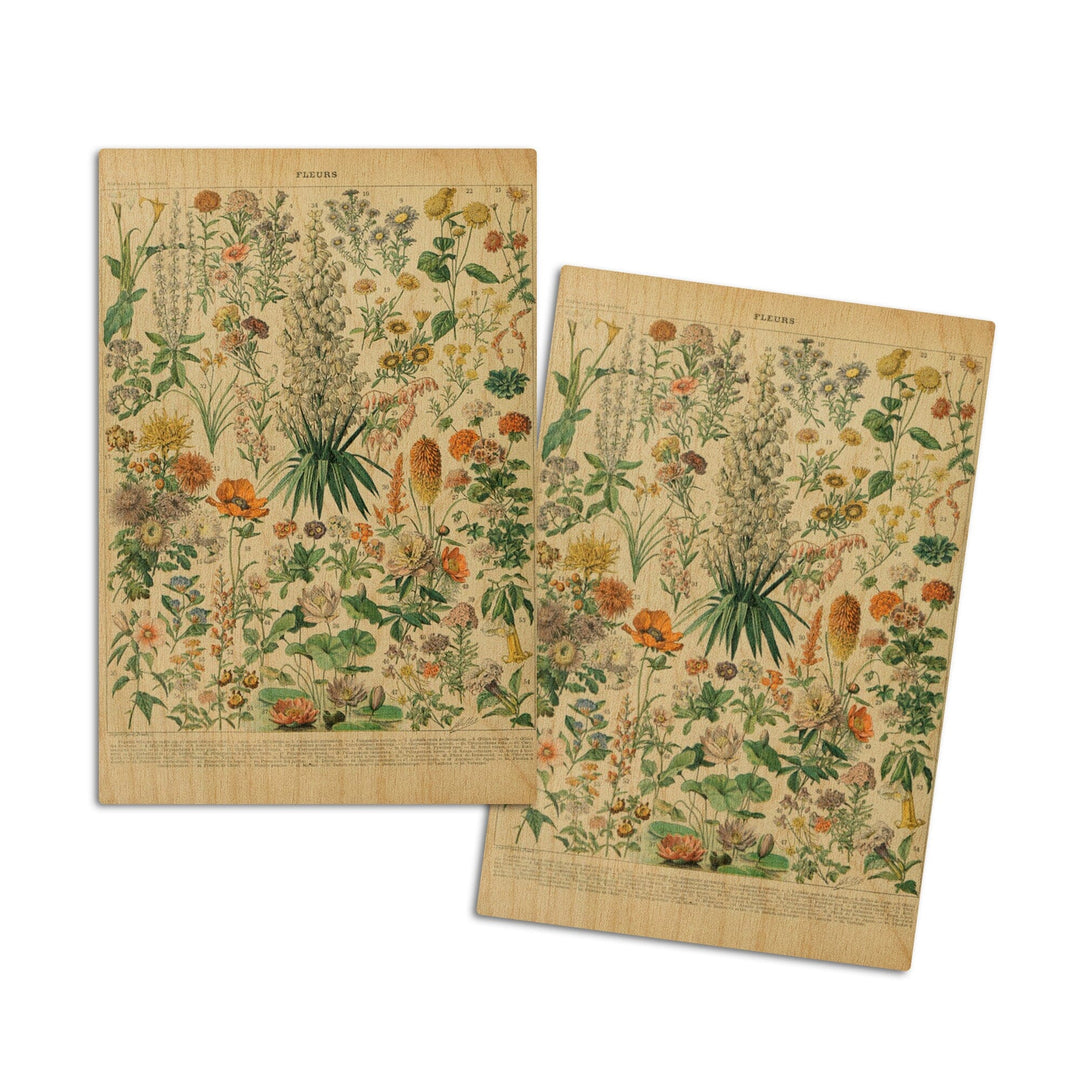 Assorted Flowers, B, Vintage Bookplate, Adolphe Millot Artwork, Wood Signs and Postcards Wood Lantern Press 4x6 Wood Postcard Set 