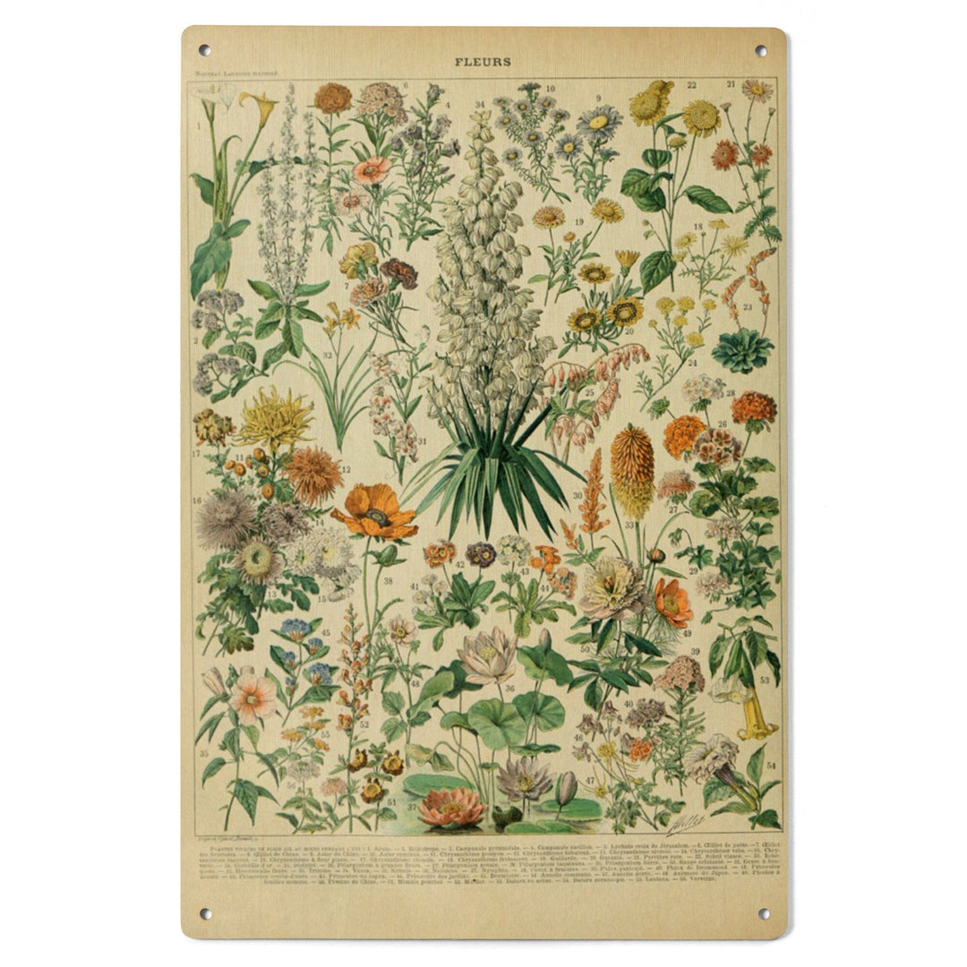 Assorted Flowers, B, Vintage Bookplate, Adolphe Millot Artwork, Wood Signs and Postcards Wood Lantern Press 