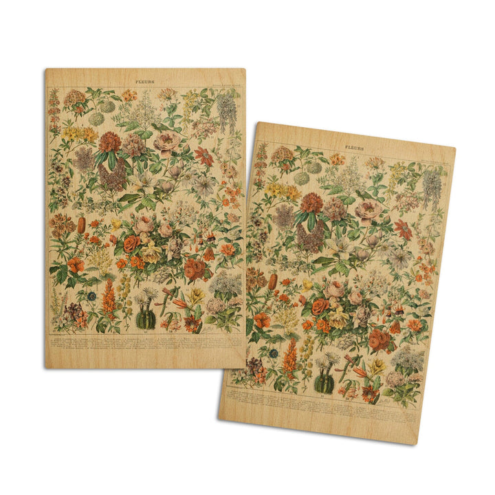 Assorted Flowers, C, Vintage Bookplate, Adolphe Millot Artwork, Wood Signs and Postcards Wood Lantern Press 4x6 Wood Postcard Set 