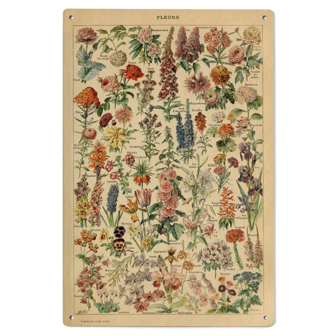 Assorted Flowers, E, Vintage Bookplate, Adolphe Millot Artwork, Wood Signs and Postcards Wood Lantern Press 