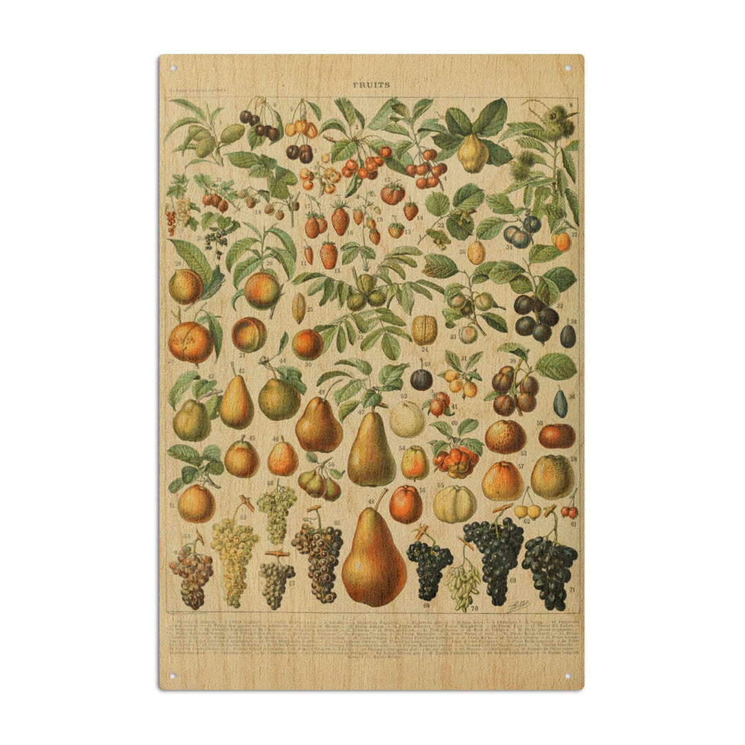 Assorted Fruits, A, Vintage Bookplate, Adolphe Millot Artwork, Wood Signs and Postcards Wood Lantern Press 10 x 15 Wood Sign 