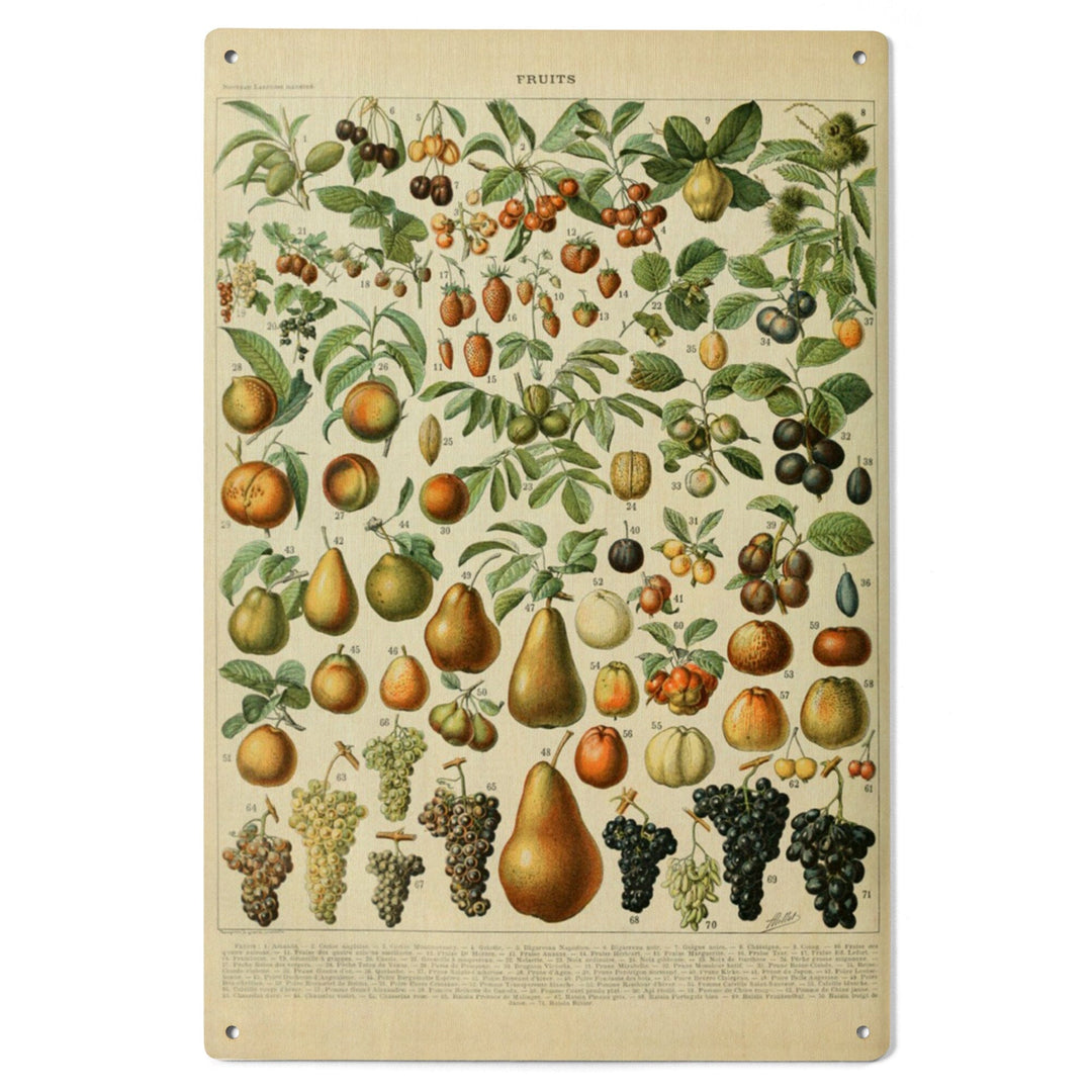 Assorted Fruits, A, Vintage Bookplate, Adolphe Millot Artwork, Wood Signs and Postcards Wood Lantern Press 