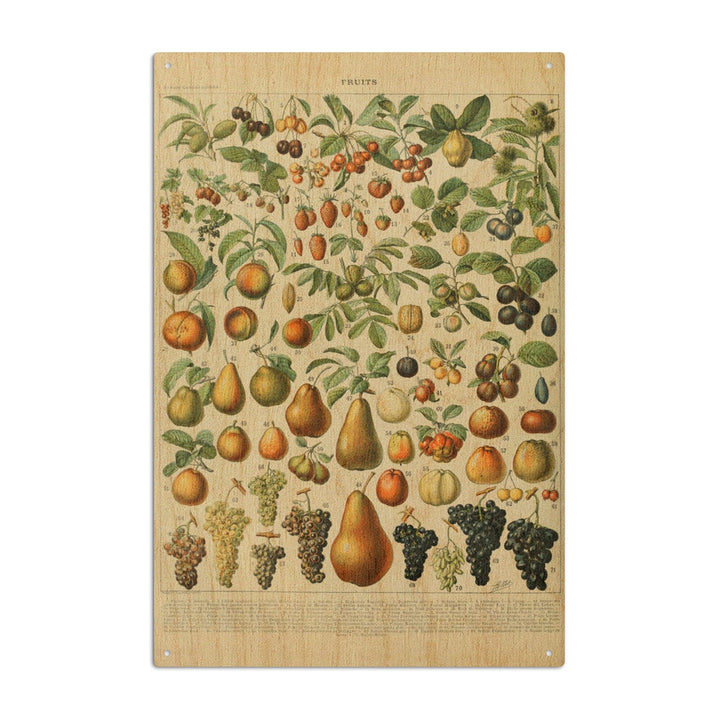 Assorted Fruits, A, Vintage Bookplate, Adolphe Millot Artwork, Wood Signs and Postcards Wood Lantern Press 6x9 Wood Sign 