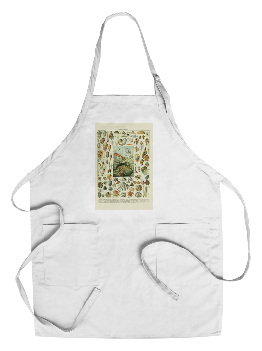 Assorted Shells, A, Vintage Bookplate, Adolphe Millot Artwork, Towels and Aprons Kitchen Lantern Press Chef's Apron 
