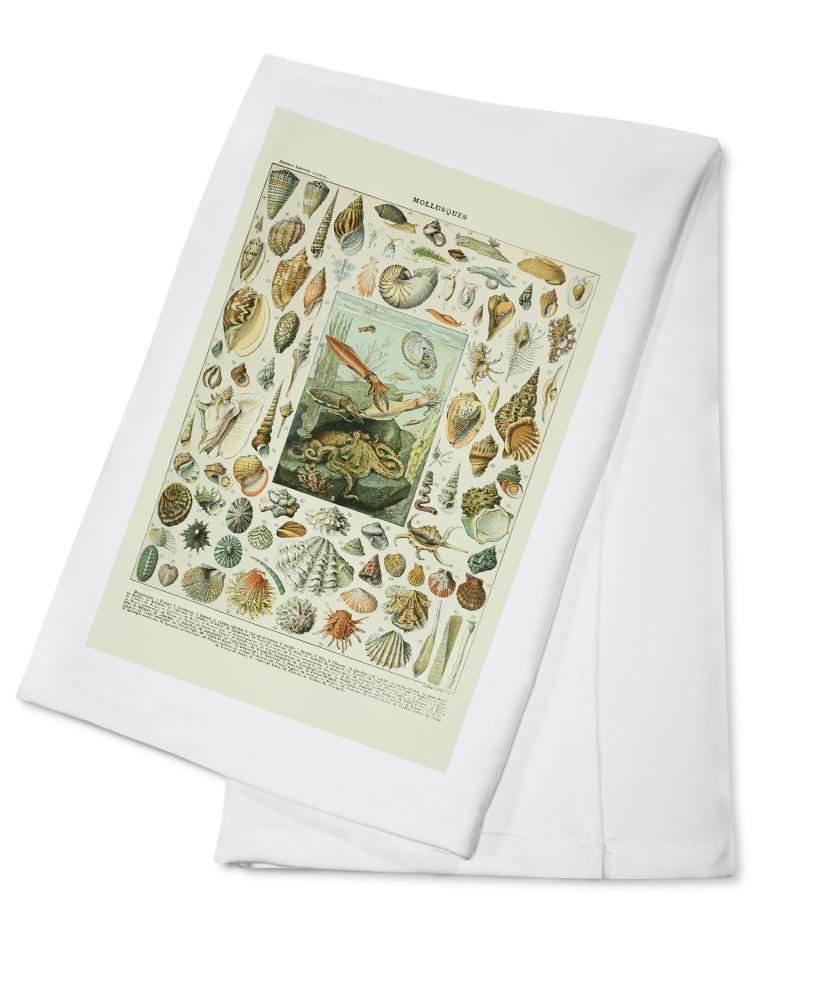 Assorted Shells, A, Vintage Bookplate, Adolphe Millot Artwork, Towels and Aprons Kitchen Lantern Press Cotton Towel 
