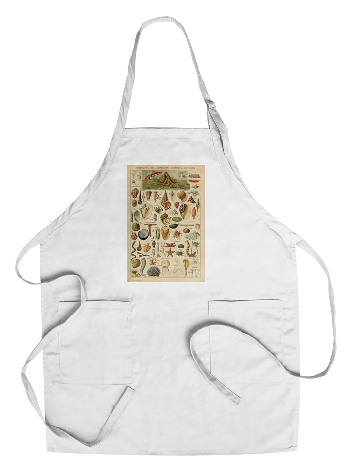 Assorted Shells, B, Vintage Bookplate, Adolphe Millot Artwork, Towels and Aprons Kitchen Lantern Press Chef's Apron 