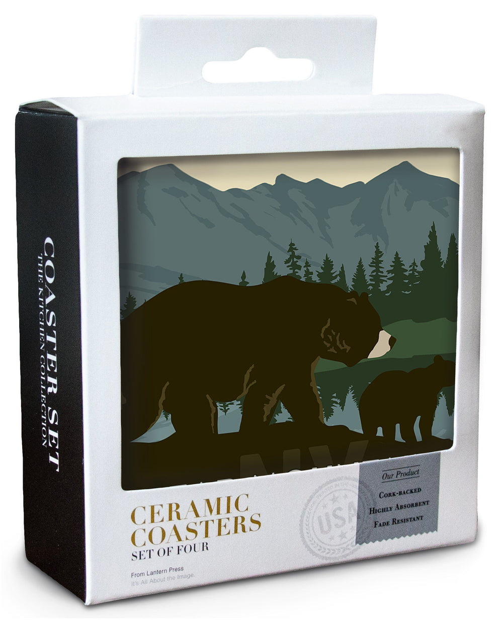 Bear Mountain State Park, New York, Grizzly Bear & Cub, Lantern Press Artwork, Coaster Set Coasters Lantern Press 