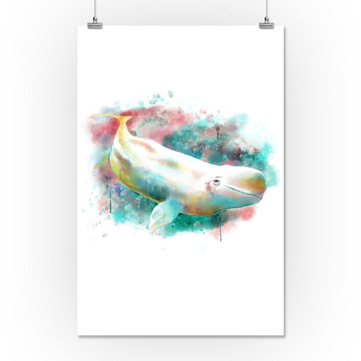 Beluga Whale, Watercolor, Lantern Press Artwork, Art Prints and Metal Signs Art Lantern Press 