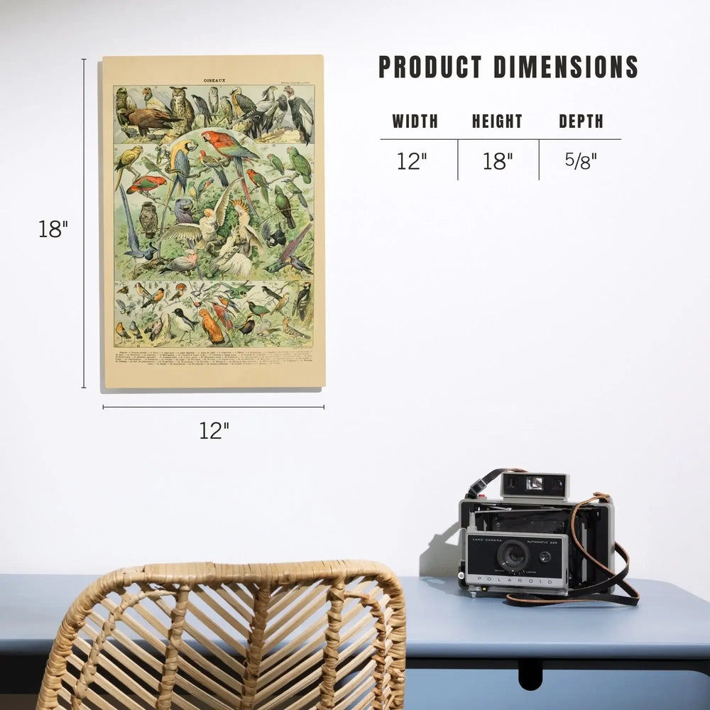 Birds, A, Vintage Bookplate, Adolphe Millot Artwork, Wood Signs and Postcards - Lantern Press