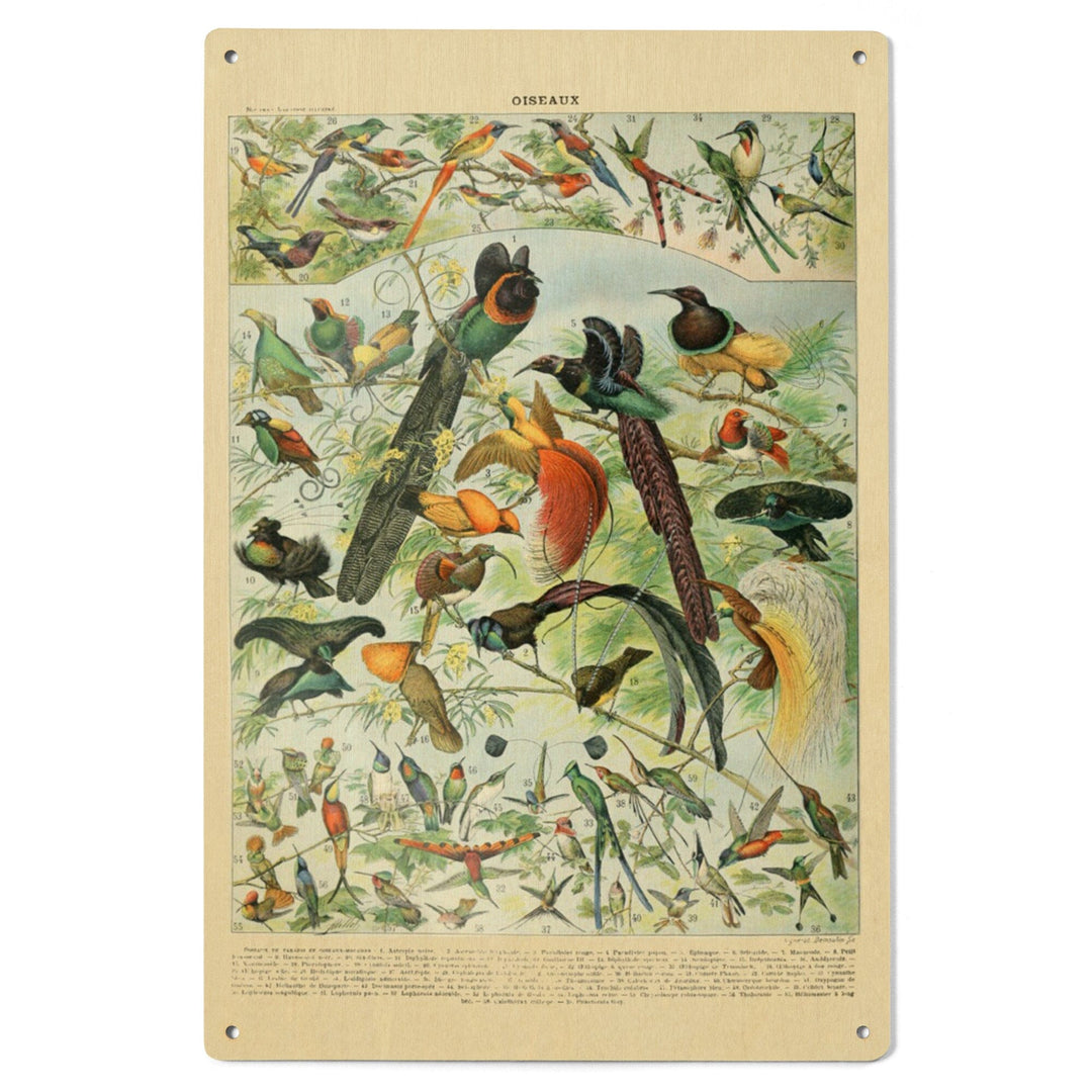Birds, B, Vintage Bookplate, Adolphe Millot Artwork, Wood Signs and Postcards Wood Lantern Press 
