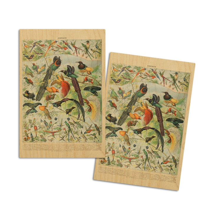 Birds, B, Vintage Bookplate, Adolphe Millot Artwork, Wood Signs and Postcards Wood Lantern Press 4x6 Wood Postcard Set 