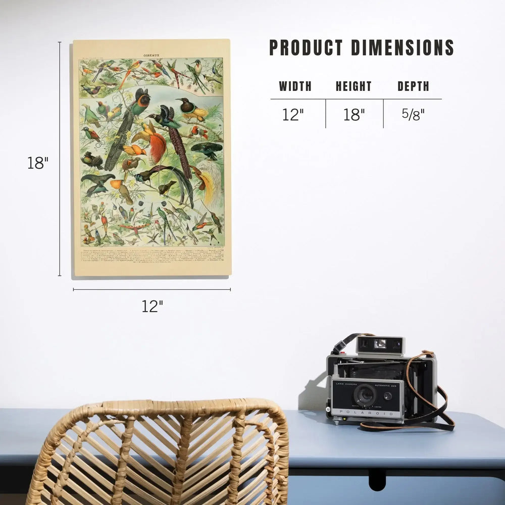 Birds, B, Vintage Bookplate, Adolphe Millot Artwork, Wood Signs and Postcards - Lantern Press