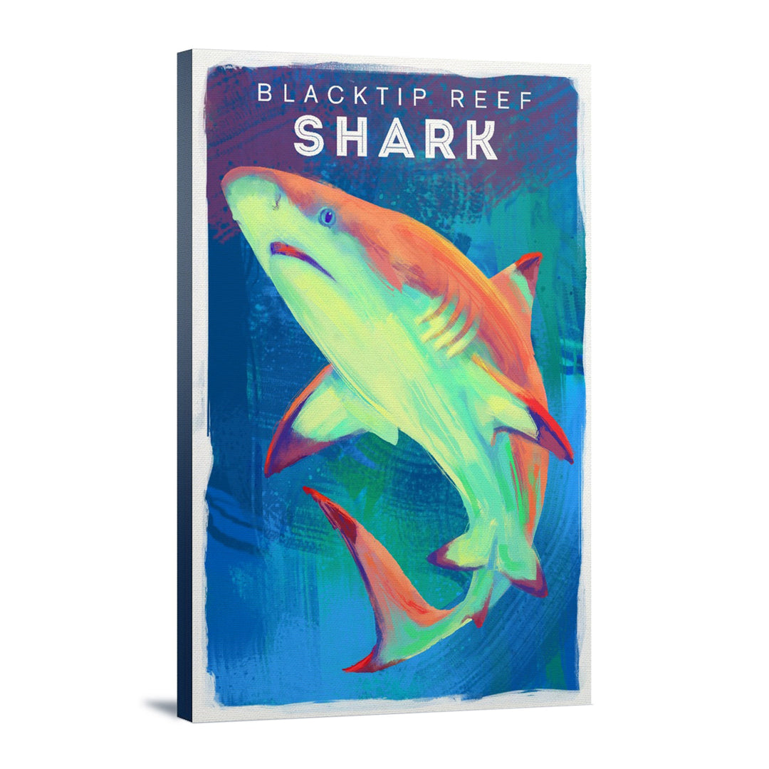 Blacktip Reef Shark, Vivid Series, Lantern Press Artwork, Stretched Canvas Canvas Lantern Press 12x18 Stretched Canvas 