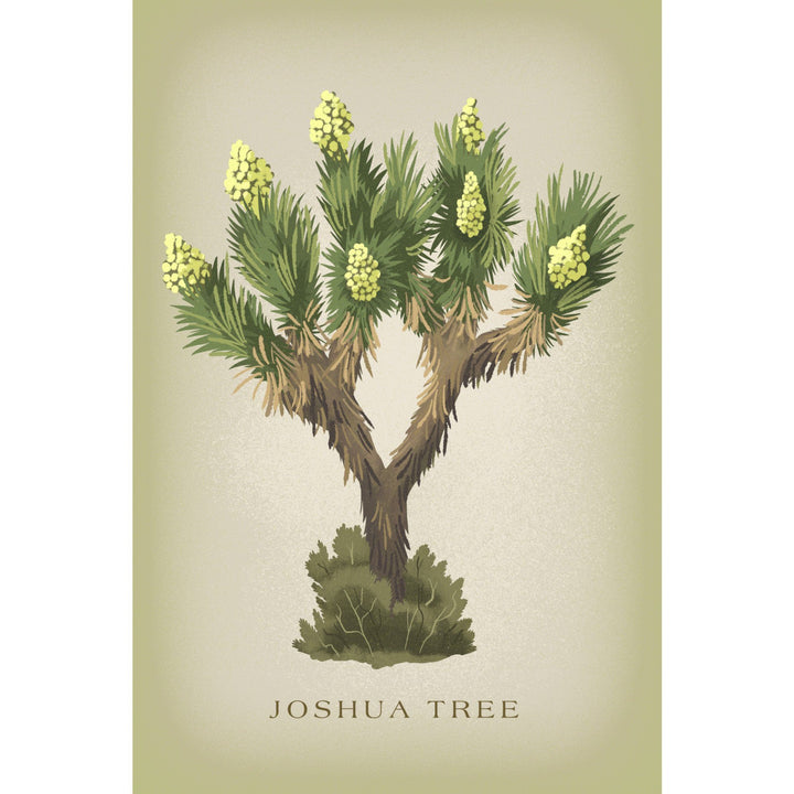 Blooming Joshua Tree, Vintage Flora, Lantern Press Artwork, Stretched Canvas Canvas Lantern Press 