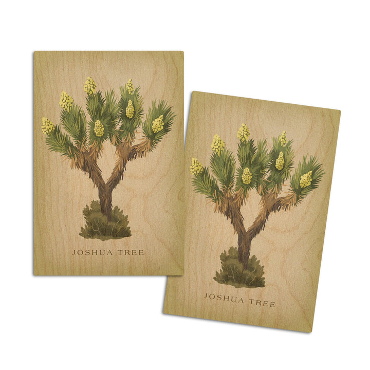 Blooming Joshua Tree, Vintage Flora, Lantern Press Artwork, Wood Signs and Postcards Wood Lantern Press 4x6 Wood Postcard Set 