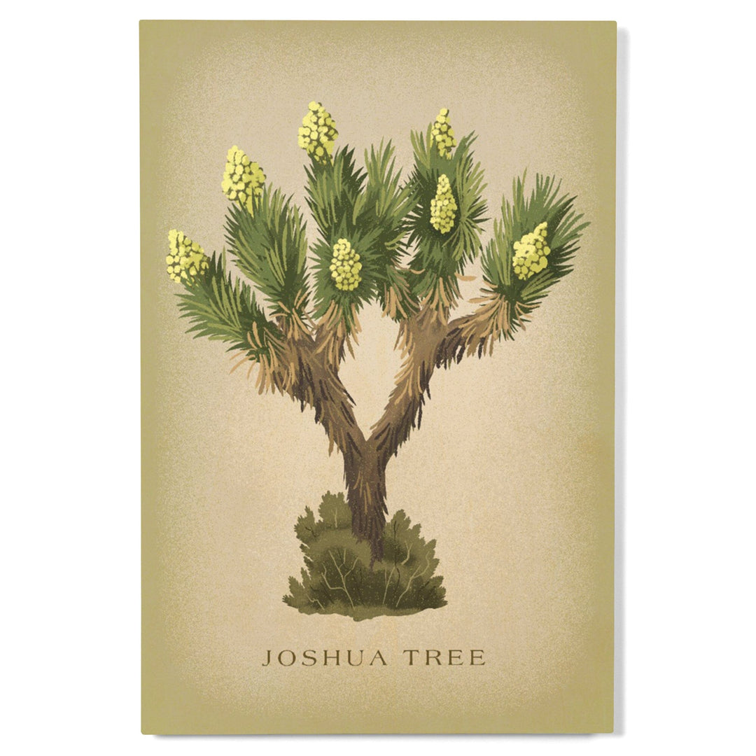 Blooming Joshua Tree, Vintage Flora, Lantern Press Artwork, Wood Signs and Postcards Wood Lantern Press 
