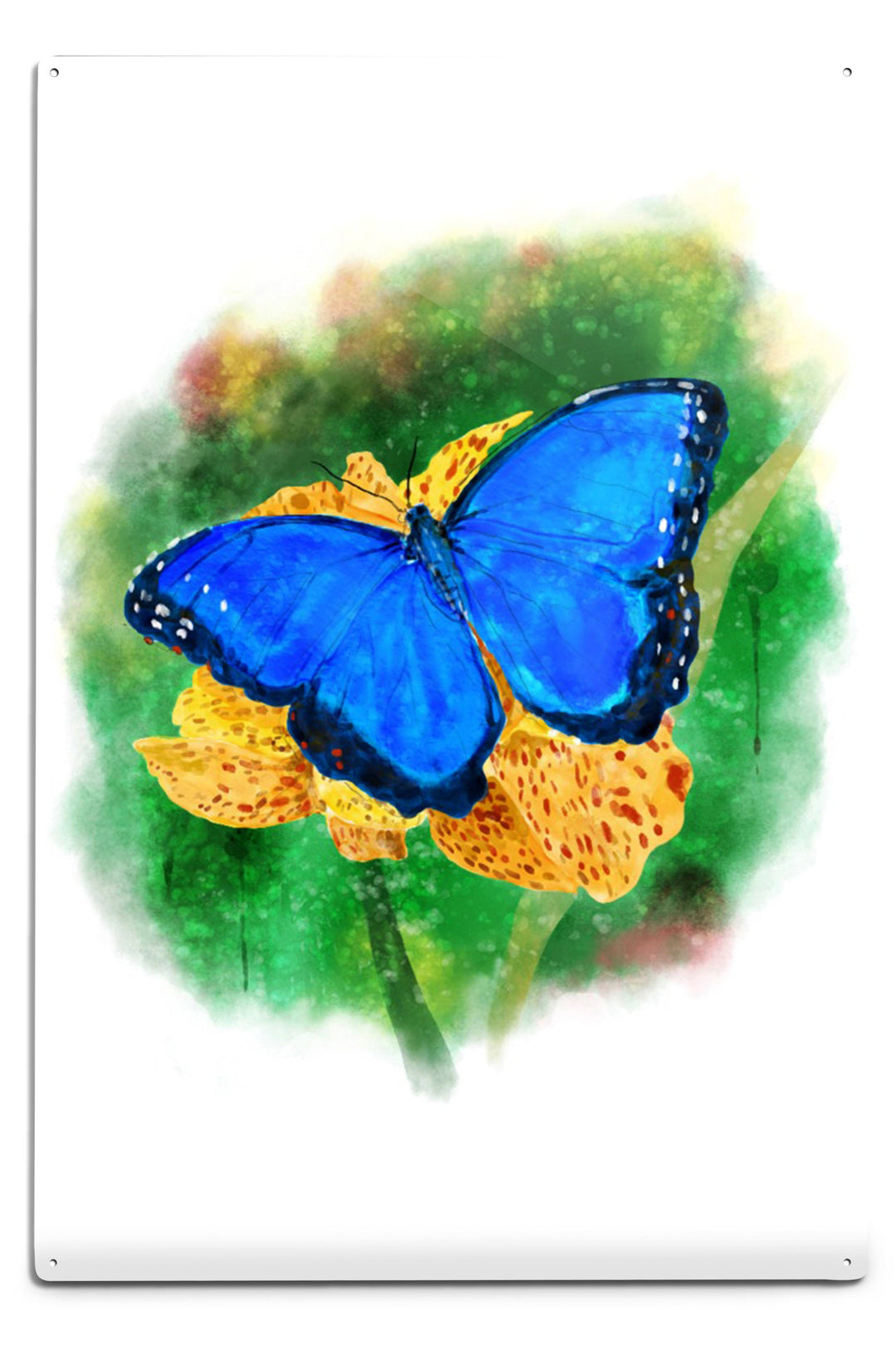 Blue Morpho Butterfly, Watercolor, Lantern Press Artwork, Lantern Press Artwork, Art Prints and Metal Signs Art Lantern Press 