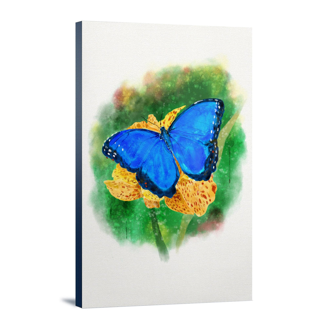 Blue Morpho Butterfly, Watercolor, Lantern Press Artwork, Lantern Press Artwork, Stretched Canvas Canvas Lantern Press 12x18 Stretched Canvas 