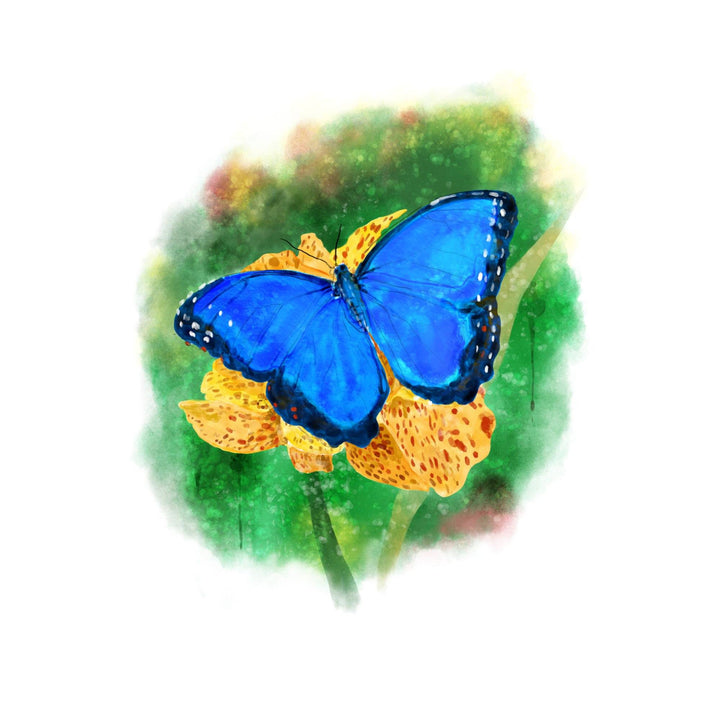 Blue Morpho Butterfly, Watercolor, Lantern Press Artwork, Lantern Press Artwork, Stretched Canvas Canvas Lantern Press 