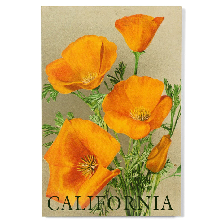 California, Bottom Text, Poppies, Lantern Press Artwork, Wood Signs and Postcards Wood Lantern Press 