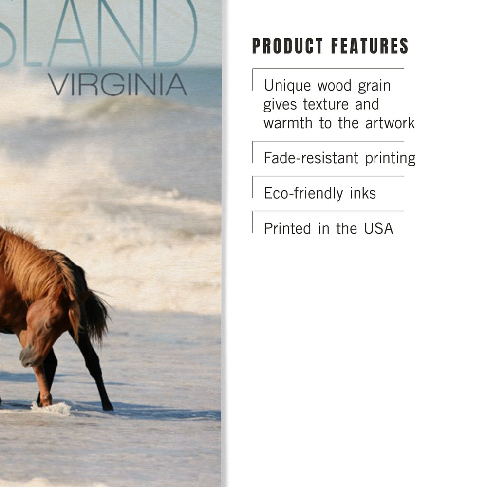 Chincoteague Island, Virginia, Horses on Beach, Lantern Press Photography, Wood Signs and Postcards Wood Lantern Press 