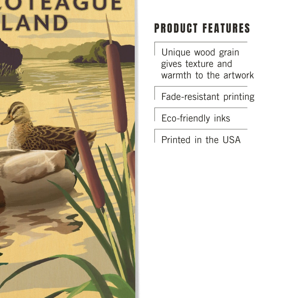 Chincoteague Island, Virginia, Mallard Ducks, Lantern Press Artwork, Wood Signs and Postcards Wood Lantern Press 