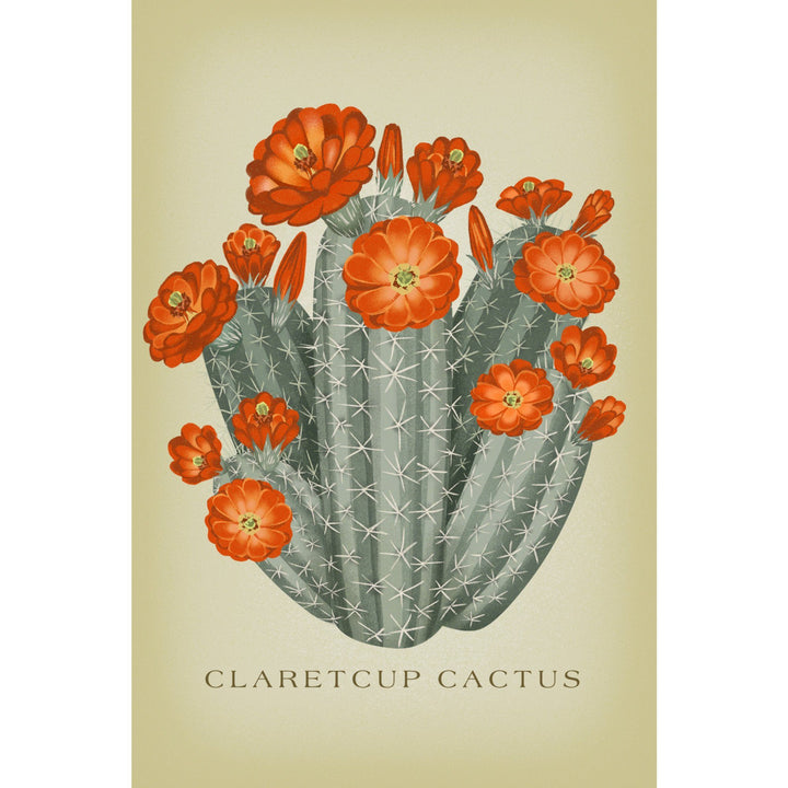 Claretcup Cactus, Vintage Flora, Lantern Press Artwork, Towels and Aprons Kitchen Lantern Press 