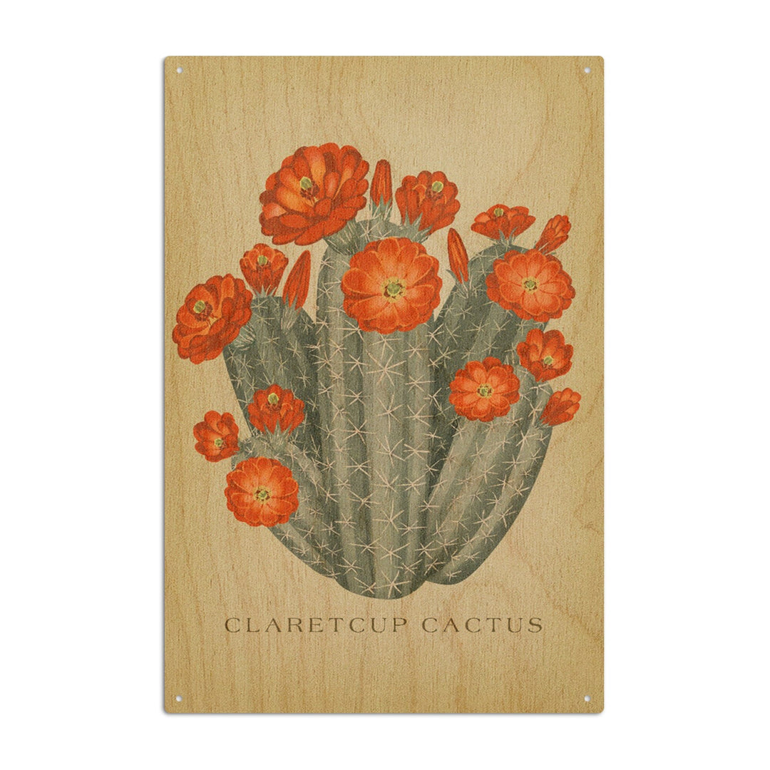 Claretcup Cactus, Vintage Flora, Lantern Press Artwork, Wood Signs and Postcards Wood Lantern Press 10 x 15 Wood Sign 