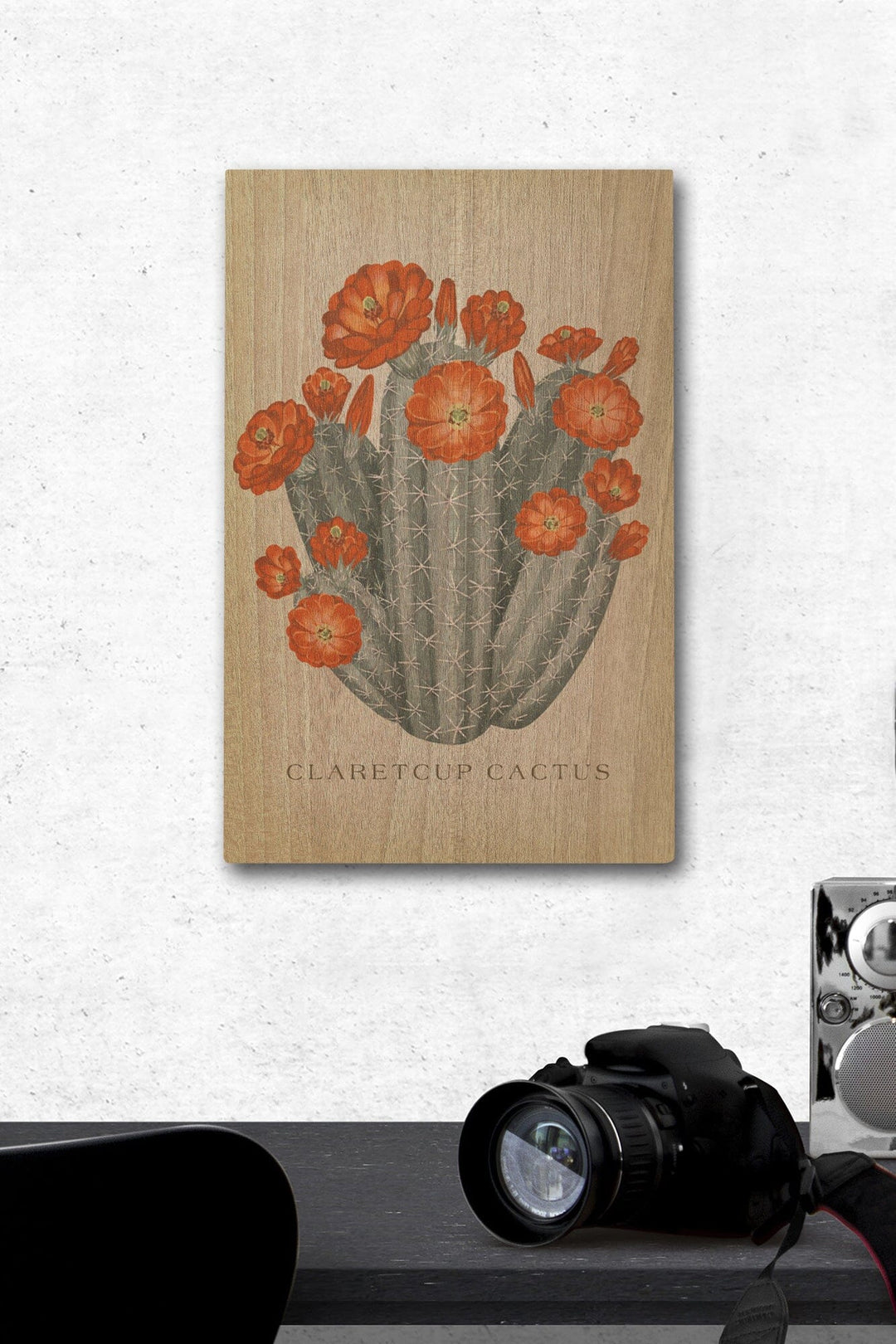 Claretcup Cactus, Vintage Flora, Lantern Press Artwork, Wood Signs and Postcards Wood Lantern Press 12 x 18 Wood Gallery Print 