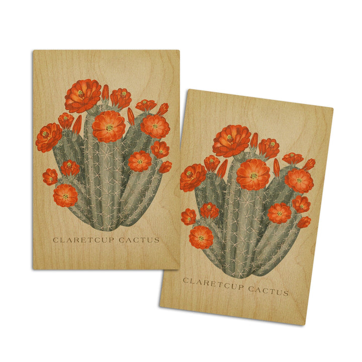 Claretcup Cactus, Vintage Flora, Lantern Press Artwork, Wood Signs and Postcards Wood Lantern Press 4x6 Wood Postcard Set 