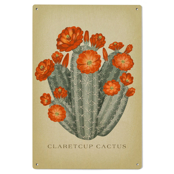 Claretcup Cactus, Vintage Flora, Lantern Press Artwork, Wood Signs and Postcards Wood Lantern Press 