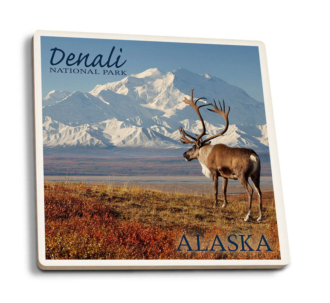 Coaster (Denali National Park, Alaska - Caribou & Denali - Lantern Press Photography) Coaster Nightingale Boutique Coaster Pack 