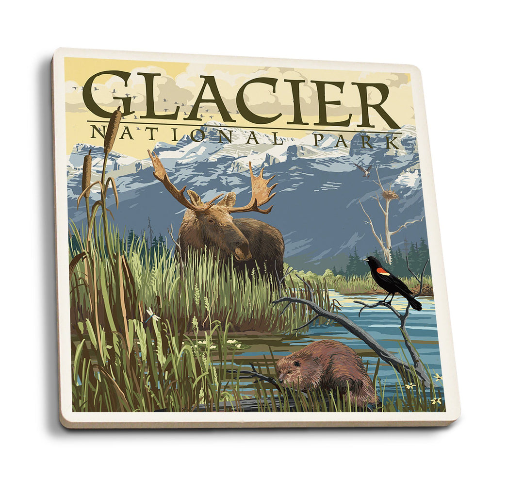 Coaster (Glacier National Park, Montana - Mountain & Marsh Scene - Lantern Press Artwork) Coaster Nightingale Boutique Coaster Pack 