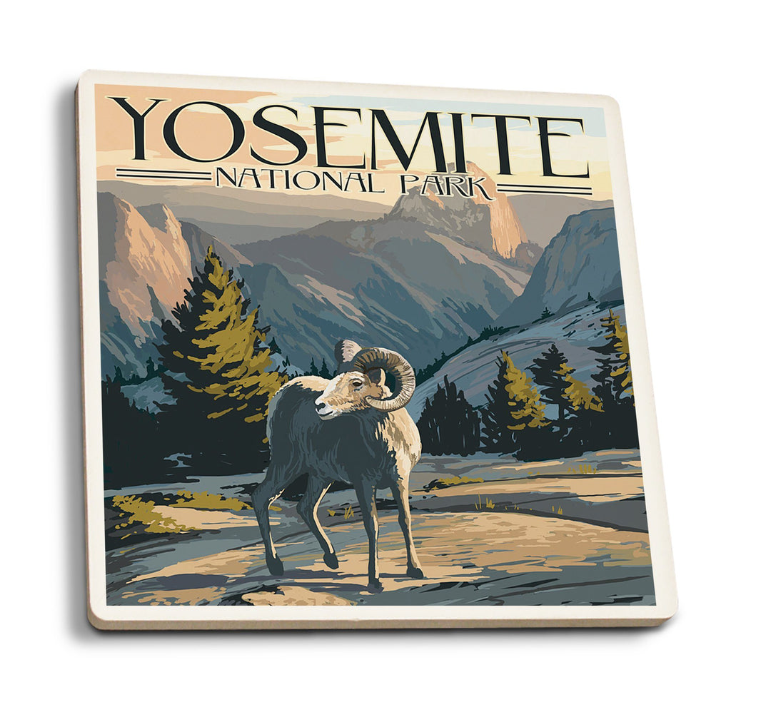 Coaster (Yosemite National Park, California - Big Horn Sheep - Lantern Press Artwork) Coaster Nightingale Boutique Coaster Pack 