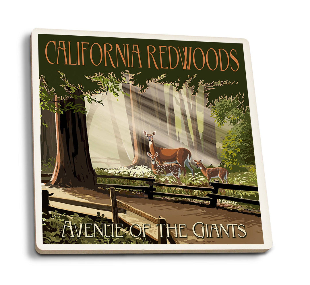 Coasters (California Redwoods, Avenue of the Giants, Deer & Fawns, Lantern Press Artwork) Lifestyle-Coaster Lantern Press 