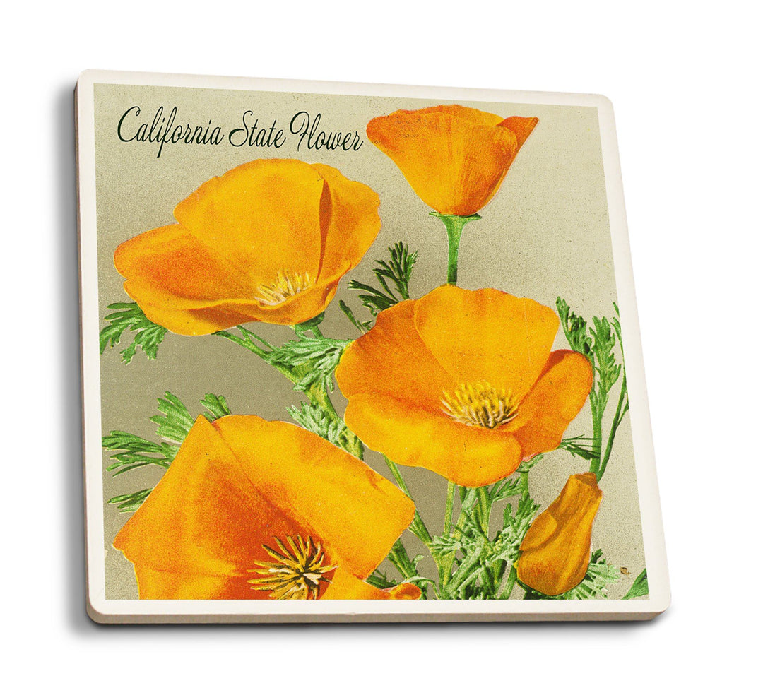 Coasters (California State Flower, The Californian, Poppy Flowers, Lantern Press Artwork) Lifestyle-Coaster Lantern Press 