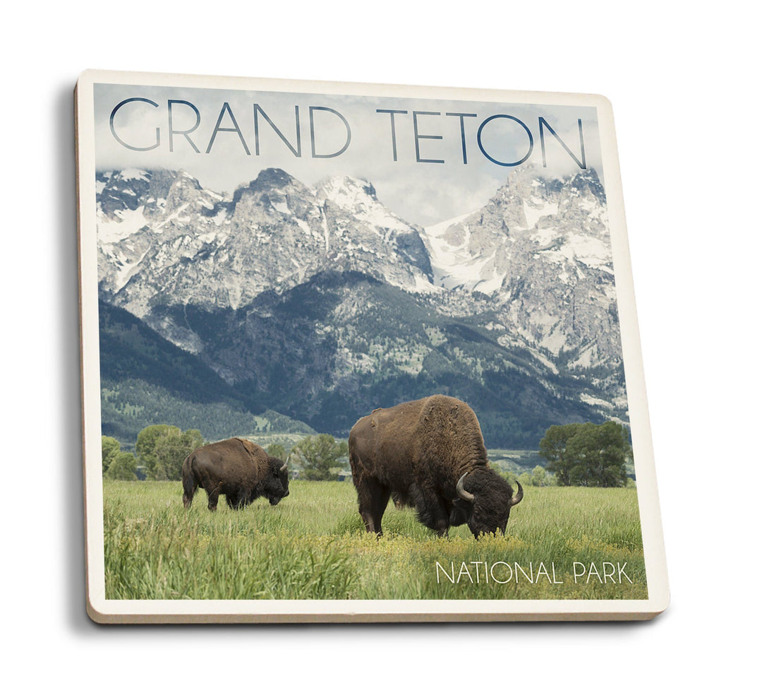 Coasters (Grand Teton National Park, Wyoming, Buffalo & Mountain Scene, Lantern Press Photography) Lifestyle-Coaster Lantern Press 