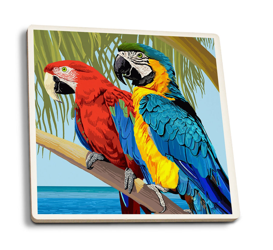 Coasters (Parrots, Lantern Press Artwork) Lifestyle-Coaster Lantern Press 