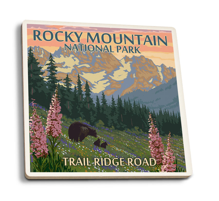 Coasters (Rocky Mountain National Park, Colorado, Trail Ridge Road, Bear & Spring Flowers, Lantern Press Artwork) Lifestyle-Coaster Lantern Press 