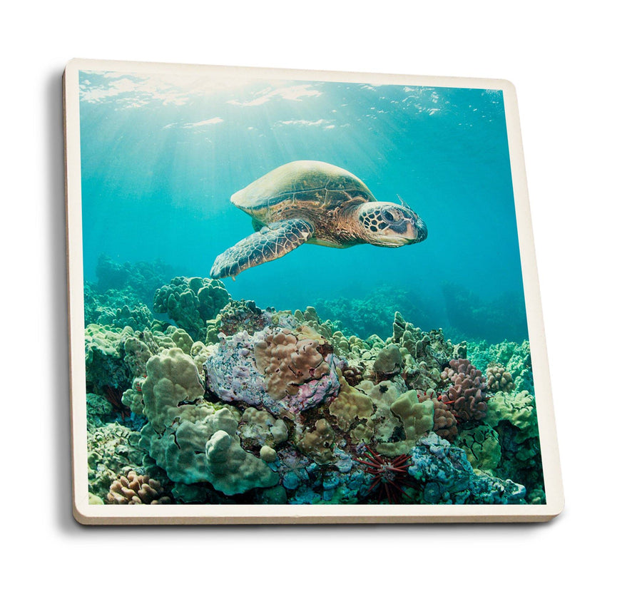 Coasters (Sea Turtle & Coral Reef, Lantern Press Photography) Lifestyle-Coaster Lantern Press 