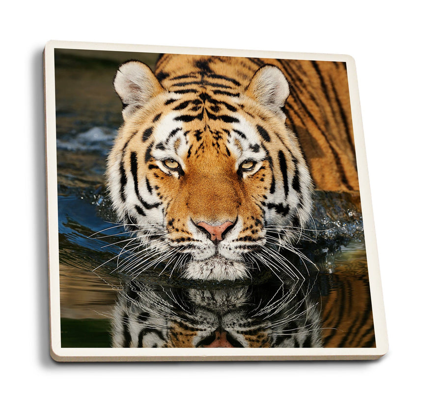 Coasters (Tiger Reflection, Lantern Press Photography) Lifestyle-Coaster Lantern Press 