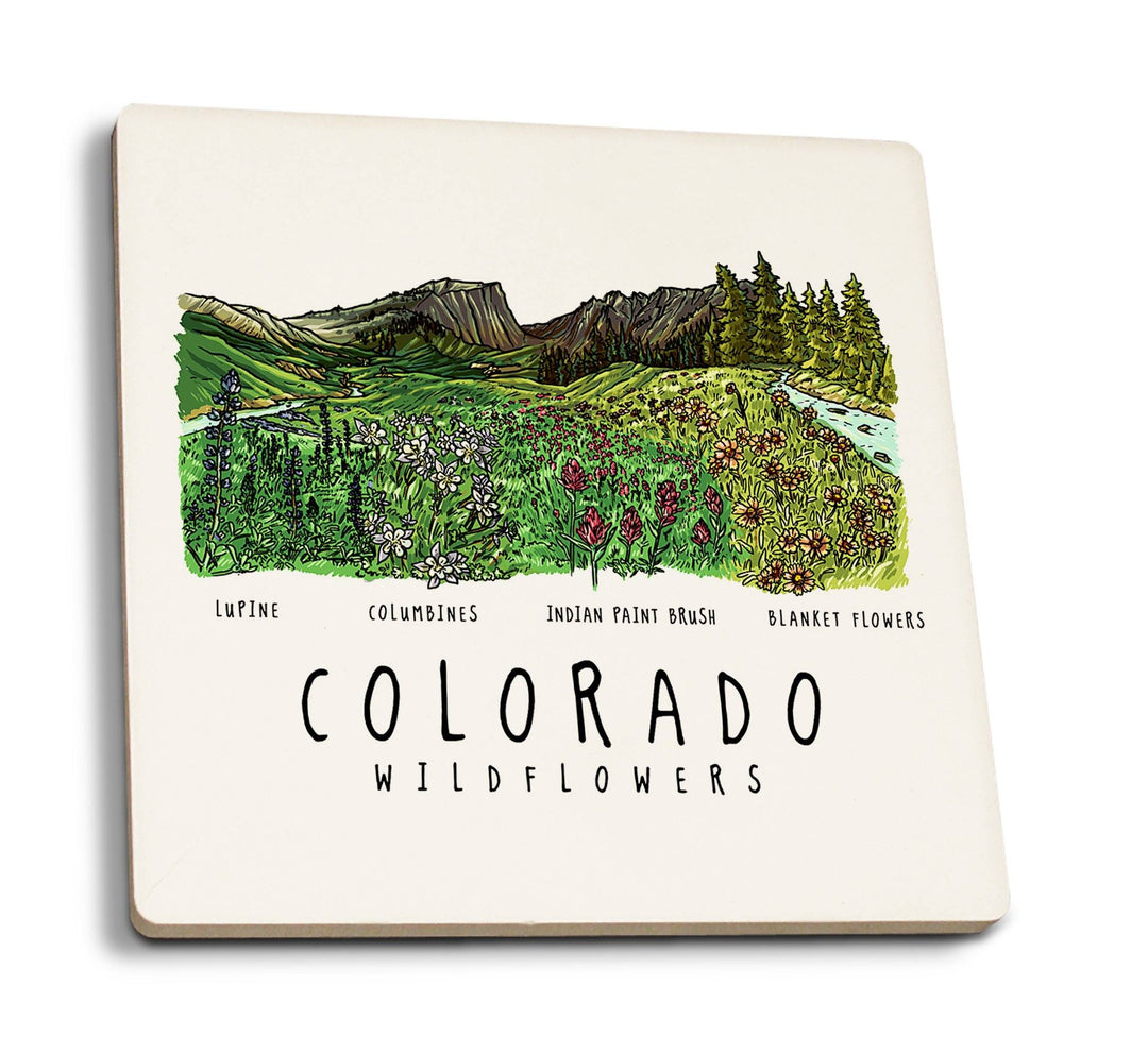 Colorado, Rockies Wildflowers, Lantern Press Artwork, Coaster Set Coasters Lantern Press 
