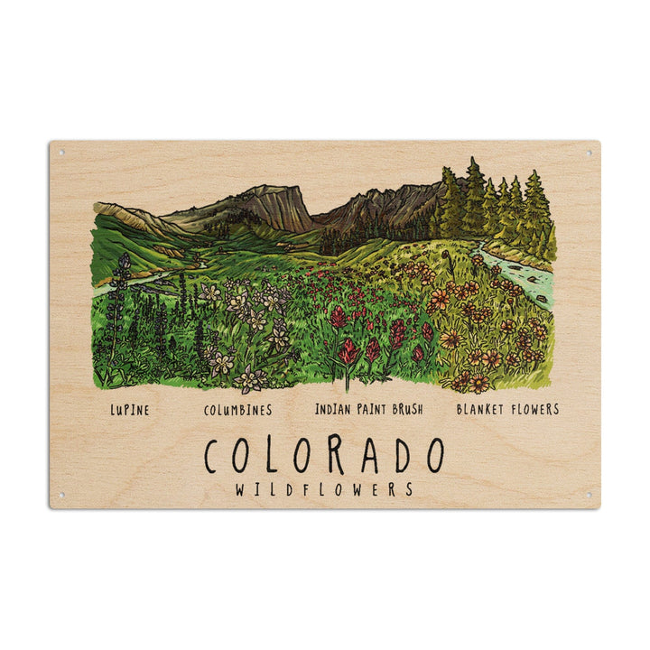 Colorado, Rockies Wildflowers, Lantern Press Artwork, Wood Signs and Postcards Wood Lantern Press 10 x 15 Wood Sign 