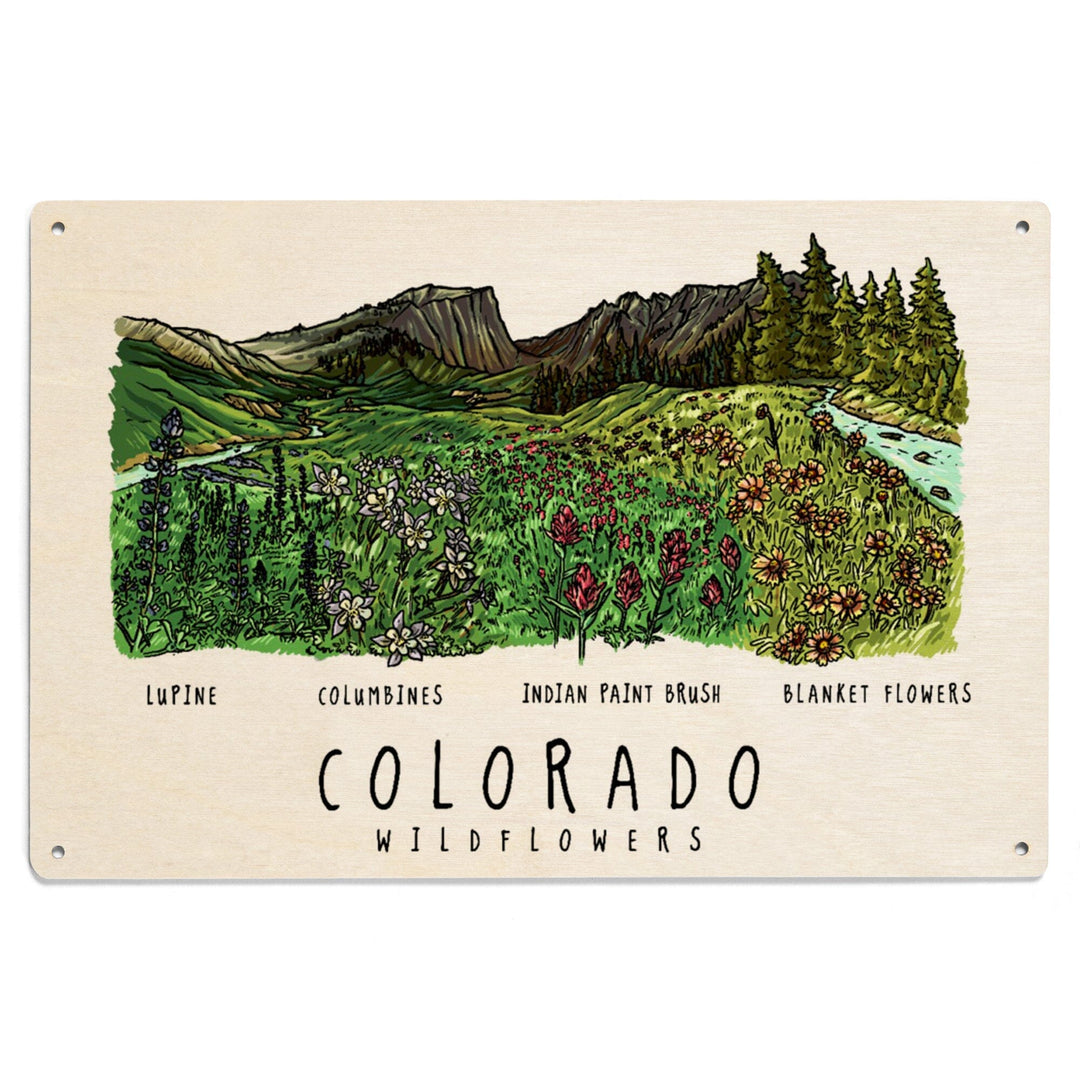 Colorado, Rockies Wildflowers, Lantern Press Artwork, Wood Signs and Postcards Wood Lantern Press 