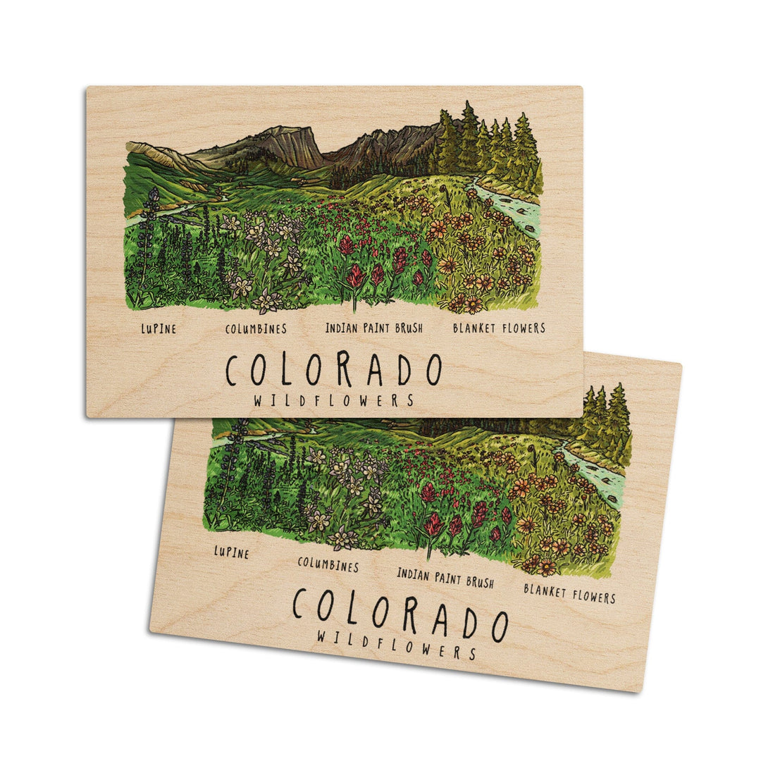 Colorado, Rockies Wildflowers, Lantern Press Artwork, Wood Signs and Postcards Wood Lantern Press 4x6 Wood Postcard Set 