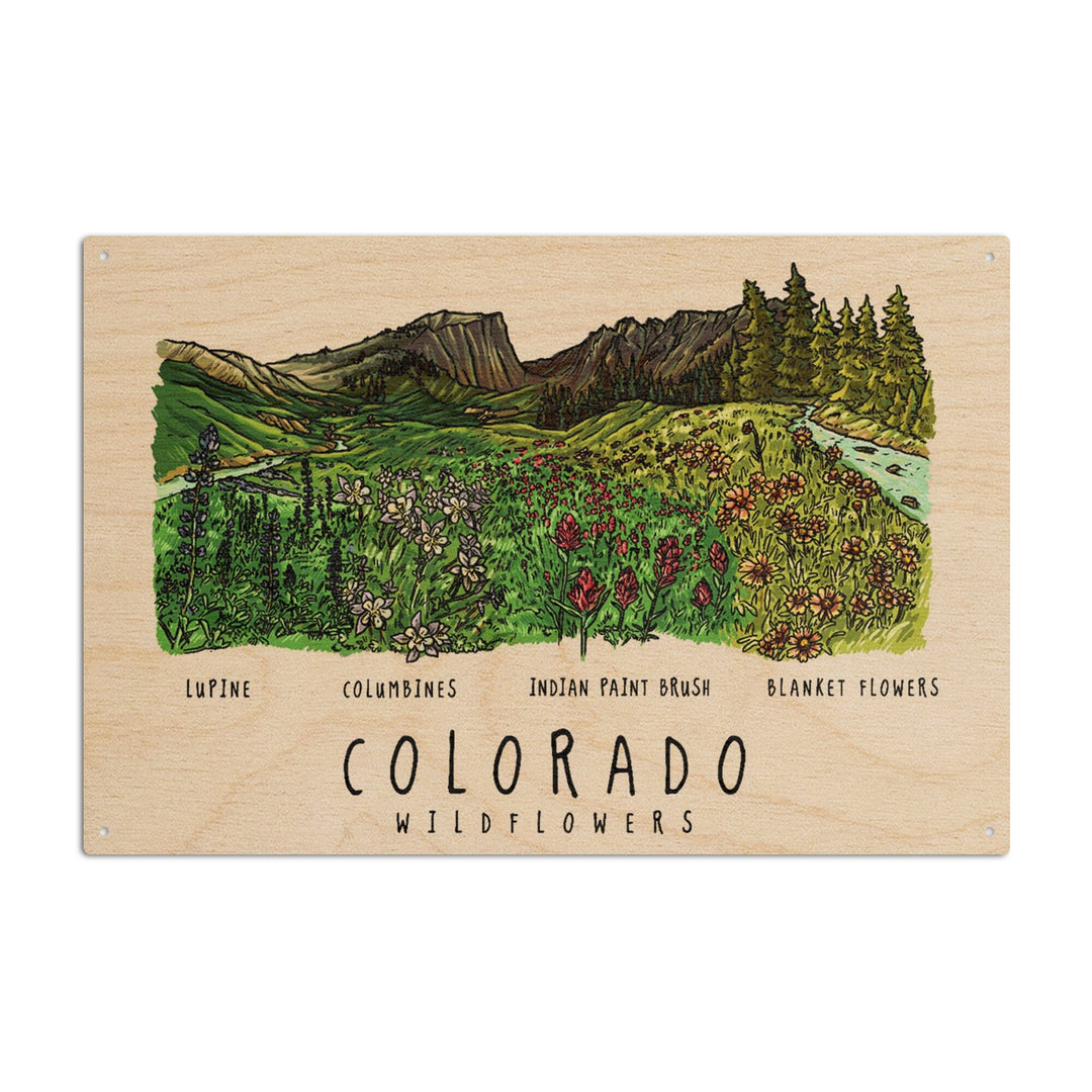 Colorado, Rockies Wildflowers, Lantern Press Artwork, Wood Signs and Postcards Wood Lantern Press 6x9 Wood Sign 