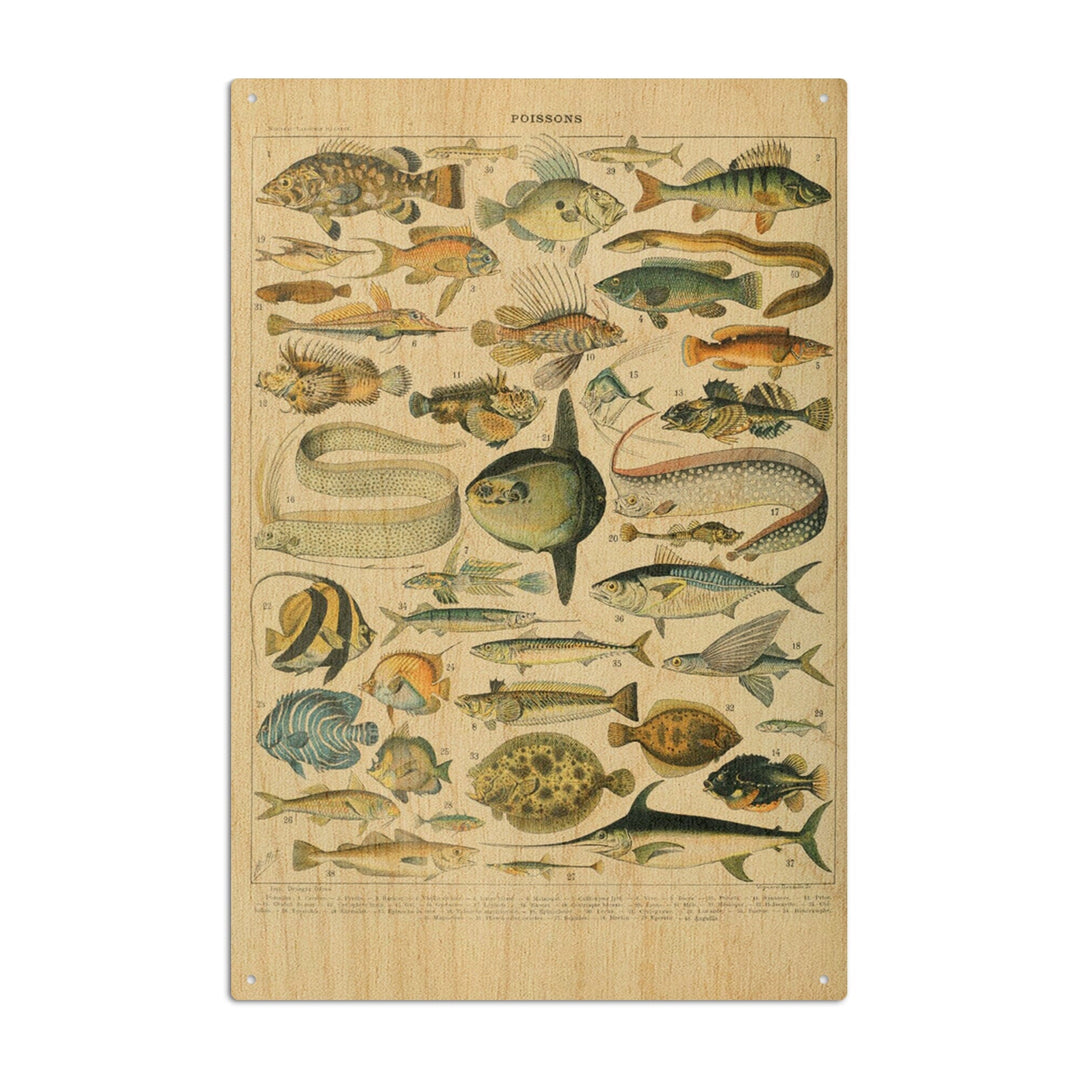 Fish, A, Vintage Bookplate, Adolphe Millot Artwork, Wood Signs and Postcards Wood Lantern Press 10 x 15 Wood Sign 